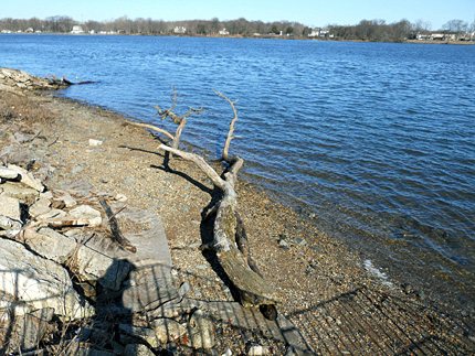 Dunk's Ferry Dunk's Ferry