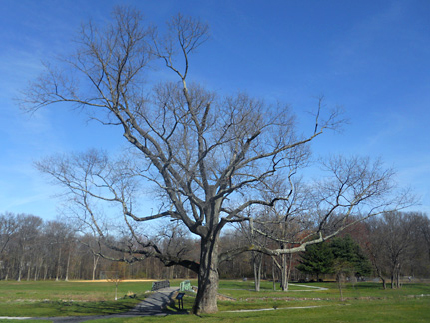 Hawthorne in the Revolutionary War Hawthorne in the Revolutionary War