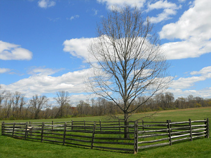 Princeton Battlefield Park Princeton Battlefield Park
