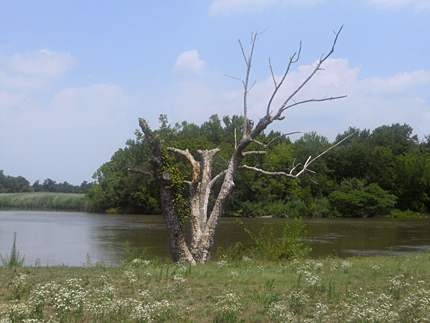 Quinton in the Revolutionary War Quinton in the Revolutionary War